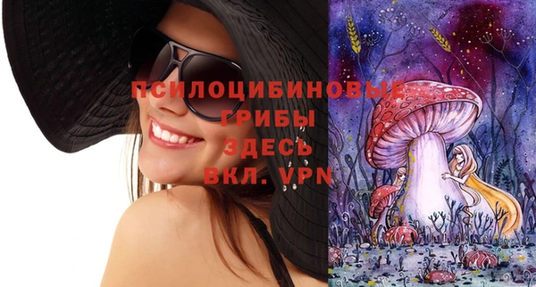 не бодяженный Вяземский