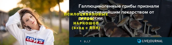 бошки Вязьма