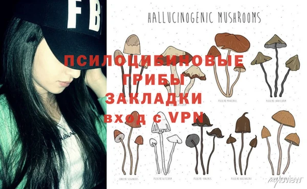 бошки Вязьма