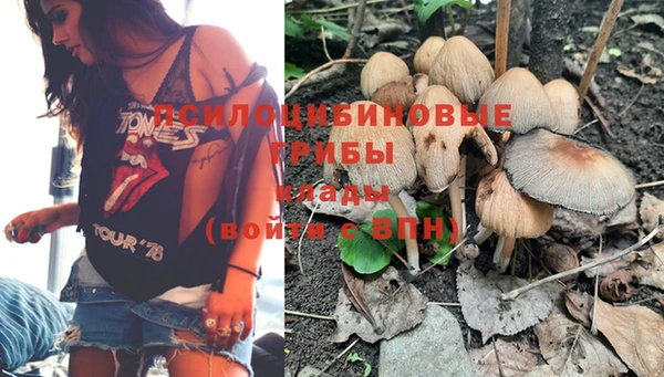 бошки Вязьма
