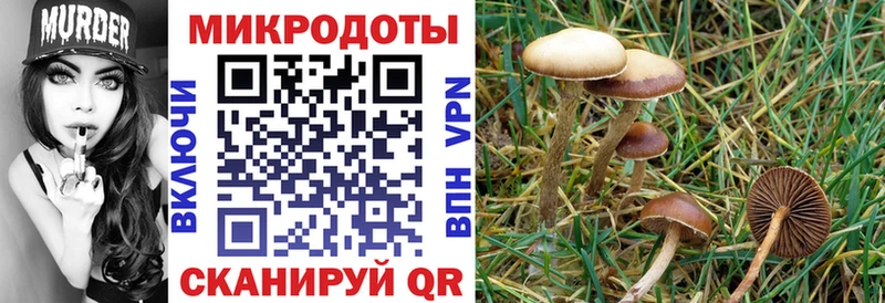 Псилоцибиновые грибы GOLDEN TEACHER наркотики Нелидово
